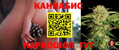 шишки Будённовск