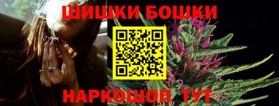 шишки Будённовск