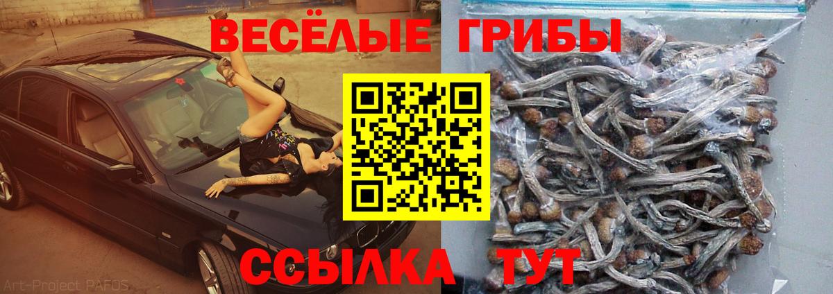 Псилоцибиновые грибы Psilocybine cubensis  купить наркотик  Щёлково  Галлюциногенные грибы прущие грибы  Вход с VPN 